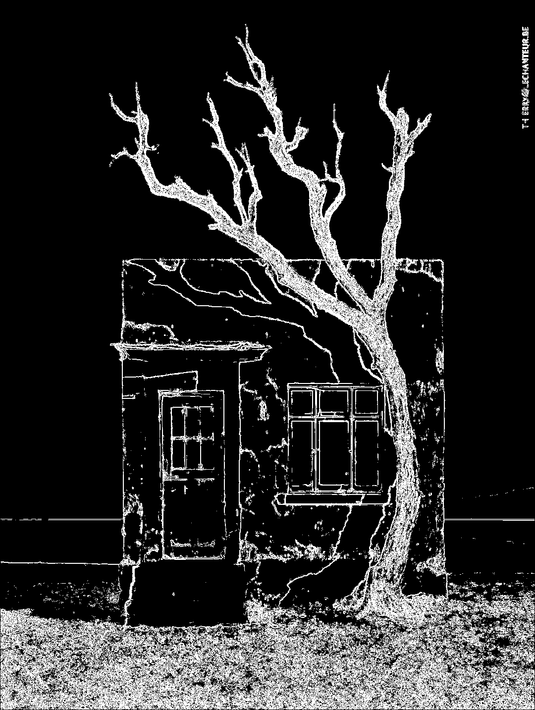 Noise grain effect